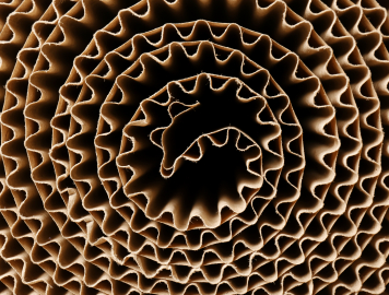 AdobeStock 240397194