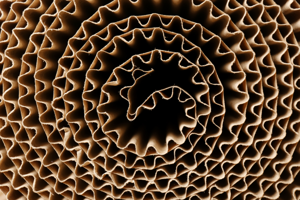 AdobeStock 240397194